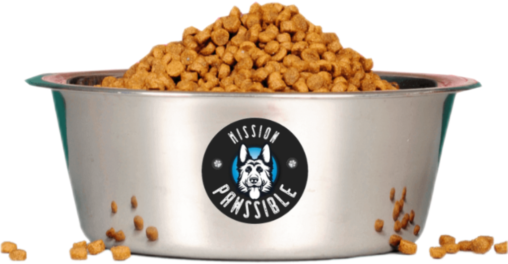 Mission Pawssible Dog Bowl