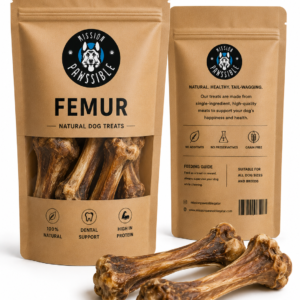 Femur Bone L