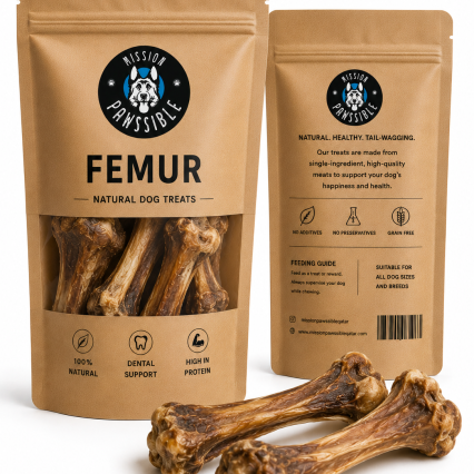 Femur Bone L